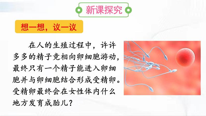 人教版生物七年级下册 4.1.2 人的生殖 课件+视频素材03