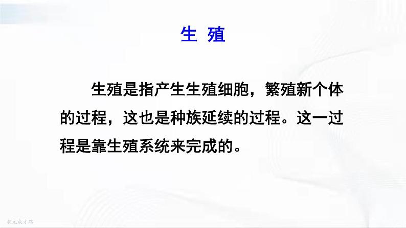 人教版生物七年级下册 4.1.2 人的生殖 课件+视频素材04