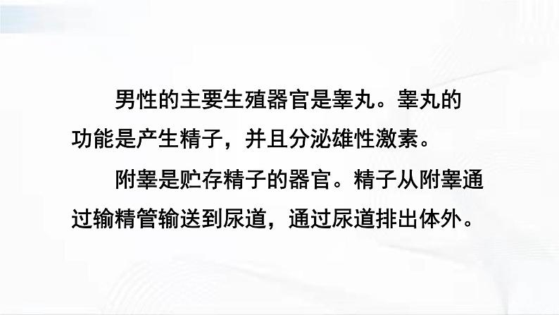 人教版生物七年级下册 4.1.2 人的生殖 课件+视频素材07