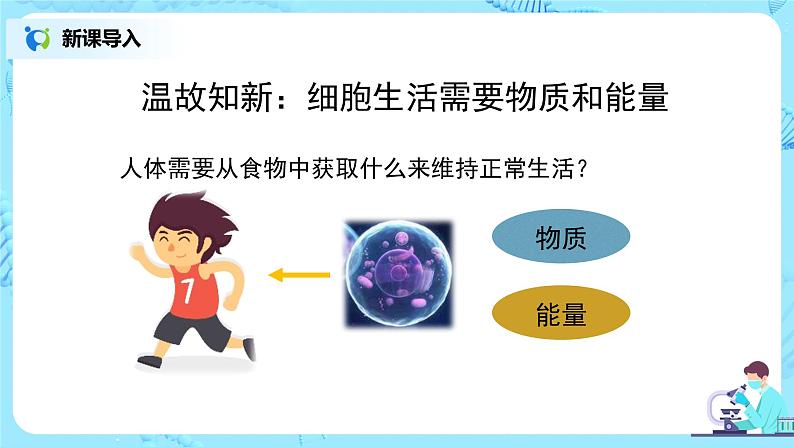 人教版（新课标）生物七下：2.1《食物中的营养物质--探究：测定某种食物中的能量》（第三课时）（课件+教案+练习）02