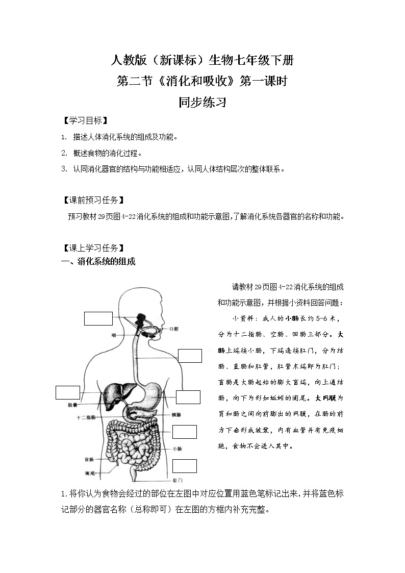 人教版（新课标）生物七下：2.2《消化和吸收》（第一课时）（课件+教案+练习）01