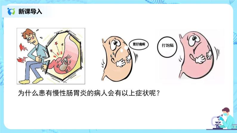 人教版（新课标）生物七下：2.2《消化和吸收》（第二课时）（课件+教案+练习）02