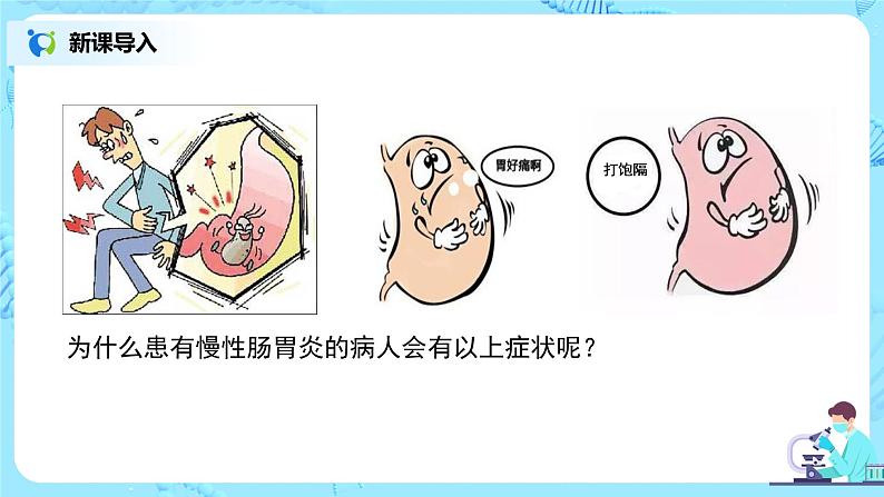 2.2《消化和吸收》（第二课时）课件第2页