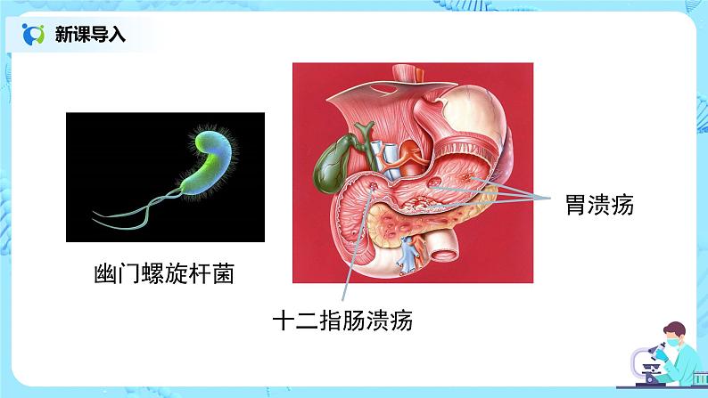 2.2《消化和吸收》（第二课时）课件第3页