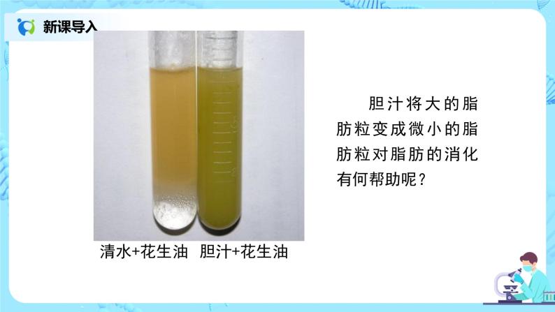 人教版（新课标）生物七下：2.2《消化和吸收》（第二课时）（课件+教案+练习）08