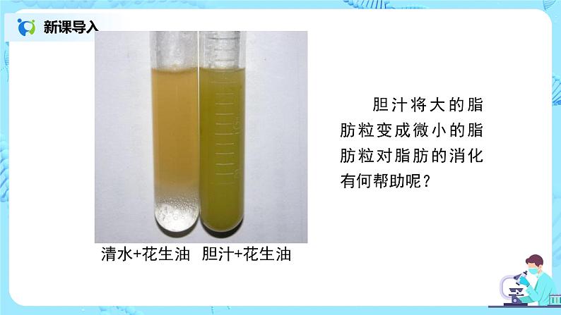 2.2《消化和吸收》（第二课时）课件第8页