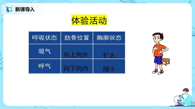 人教版（新课标）生物七下：3.2《发生在肺内的气体交换》（第一课时）（课件+教案+练习）06