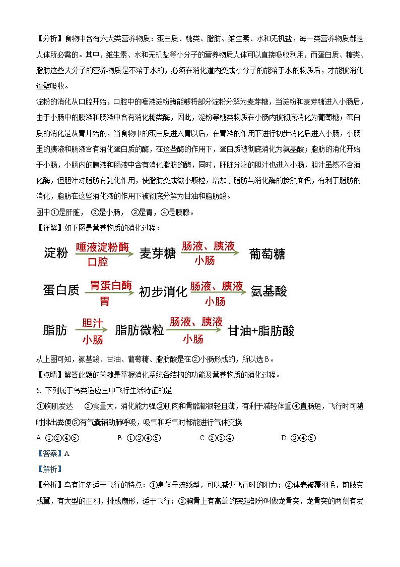 精品解析：2021年山东省青岛市莱西中考一模生物试题（解析版+原卷版）03
