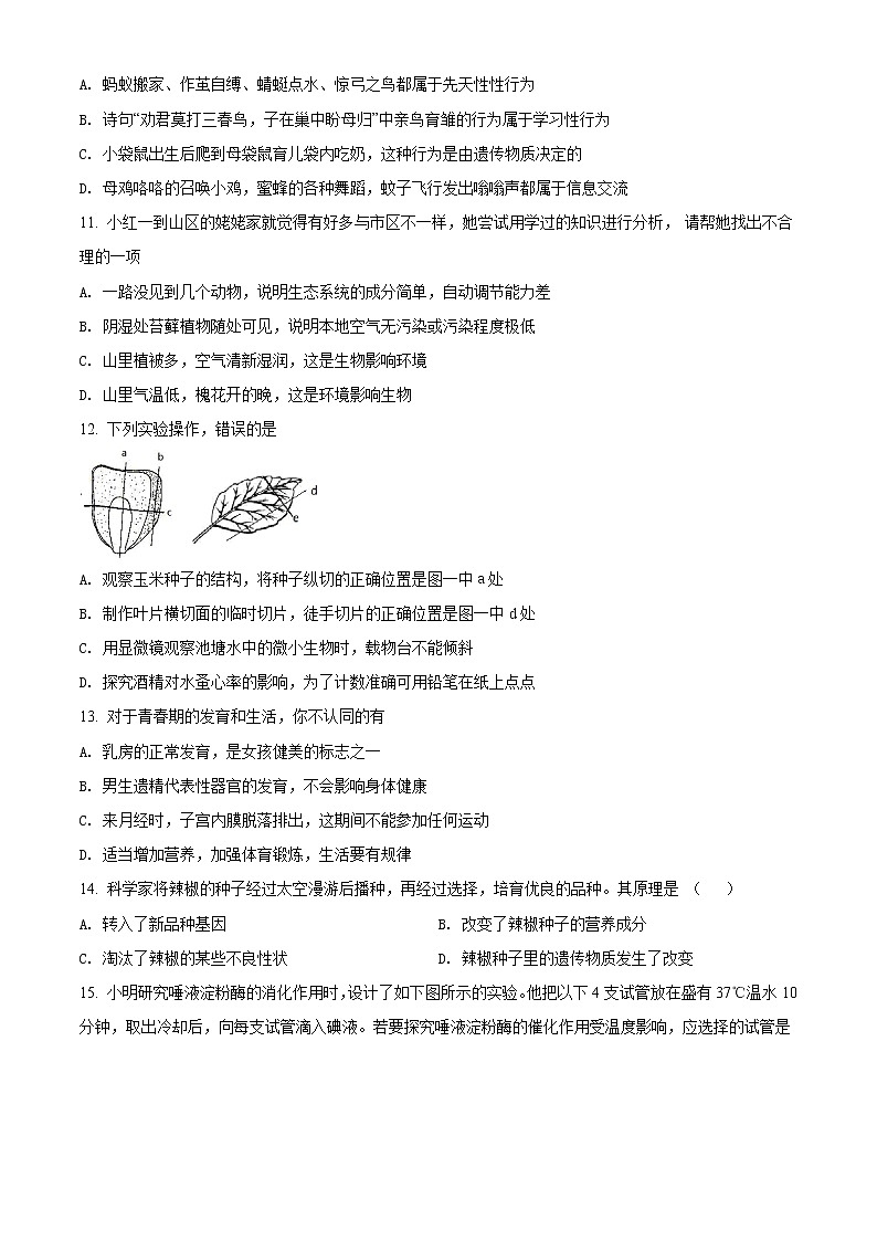 精品解析：2021年山东省青岛市莱西中考一模生物试题（解析版+原卷版）03