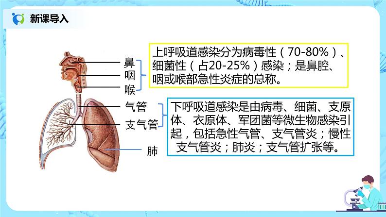 第三章《人体的呼吸》章节综合与测试（第一课时）课件第7页