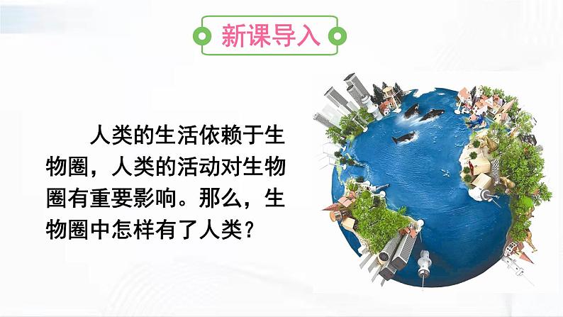 人教版生物七年级下册 4.1.1 人类的起源和发展 课件第2页