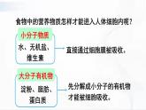 人教版生物七年级下册 4.2.2 食物的消化 课件+视频素材