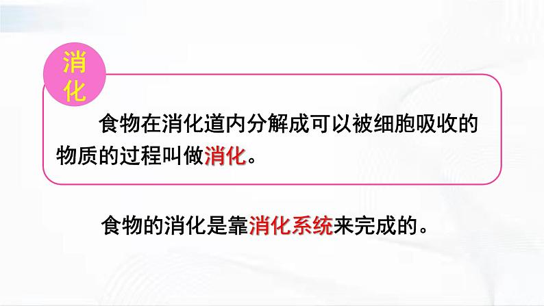 人教版生物七年级下册 4.2.2 食物的消化 课件+视频素材05