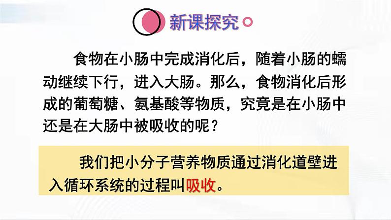 人教版生物七年级下册 4.2.2 营养物质的吸收 课件第3页