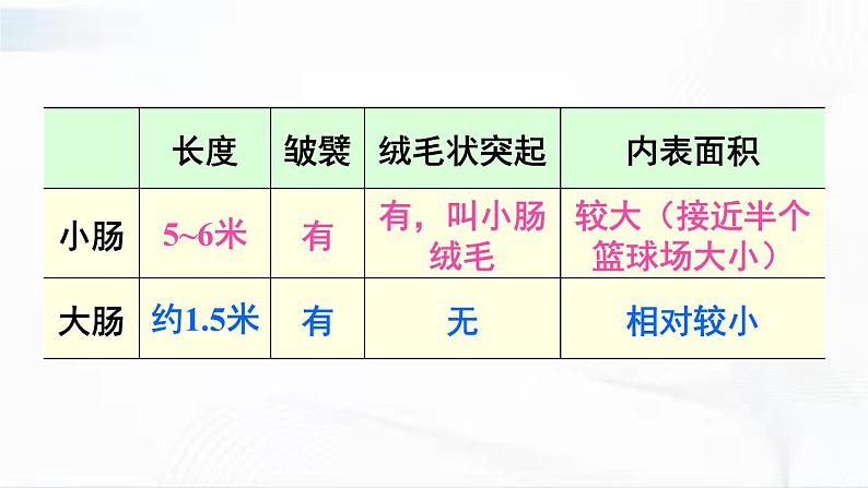 人教版生物七年级下册 4.2.2 营养物质的吸收 课件第5页