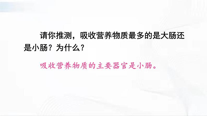 人教版生物七年级下册 4.2.2 营养物质的吸收 课件第6页