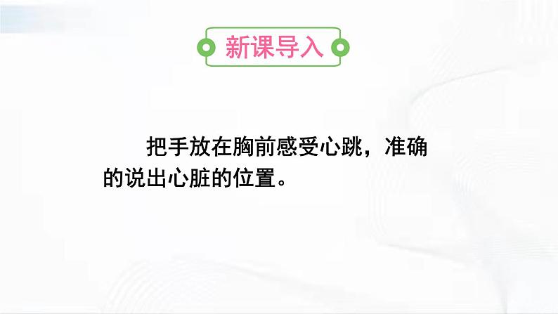 人教版生物七年级下册 4.4.3 心脏的结构和功能 课件第2页