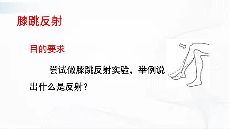 人教版生物七年级下册 4.6.3 反射和反射弧 课件第6页