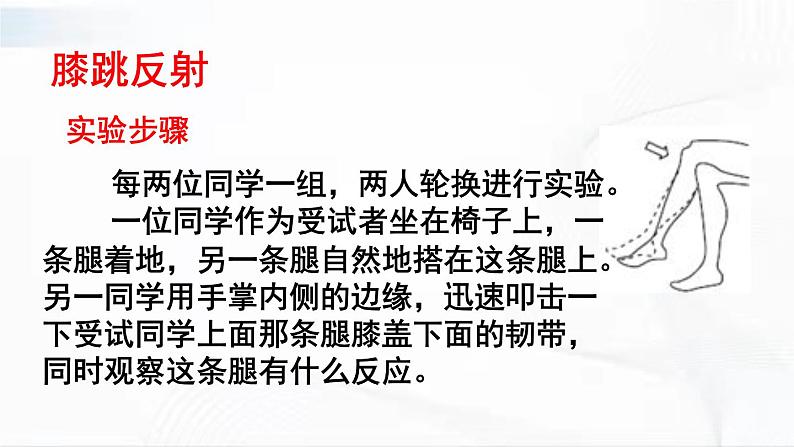 人教版生物七年级下册 4.6.3 反射和反射弧 课件第7页