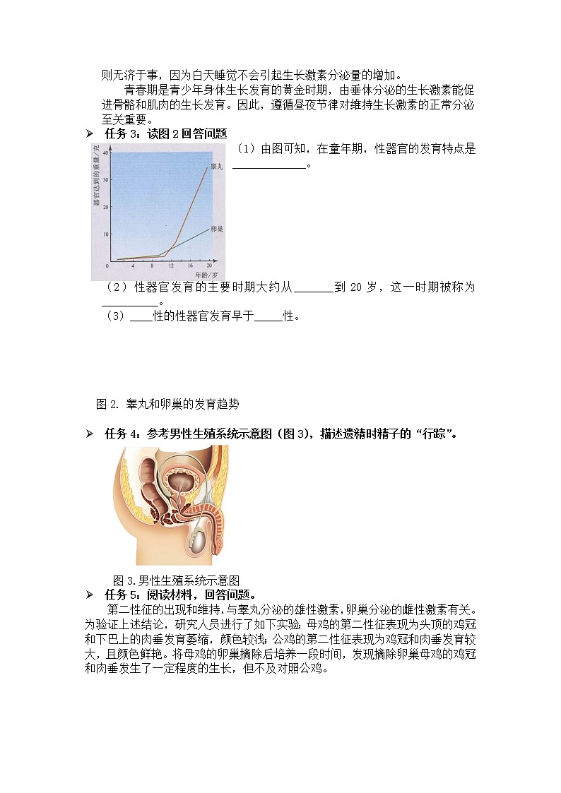 1.3《青春期》同步练习第2页