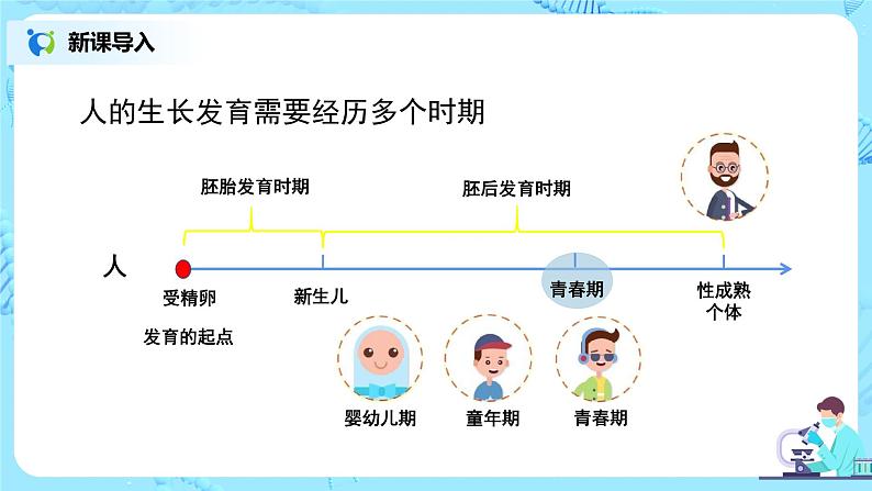 1.3《青春期》课件第3页