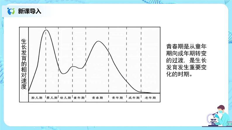 1.3《青春期》课件第4页