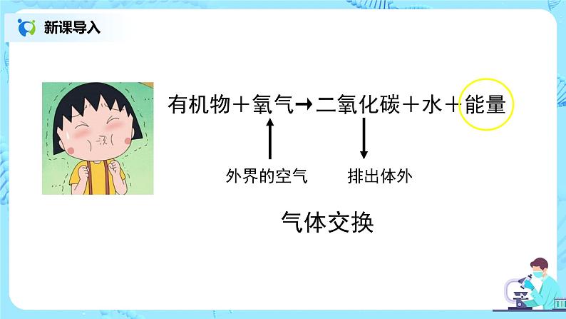 人教版（新课标）生物七下：3.1《呼吸道对空气的处理》（第一课时）（课件+教案+练习）02