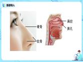 人教版（新课标）生物七下：3.1《呼吸道对空气的处理》（第一课时）（课件+教案+练习）