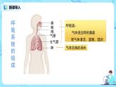 人教版（新课标）生物七下：3.2《发生在肺内的气体交换》（第二课时）（课件+教案+练习）