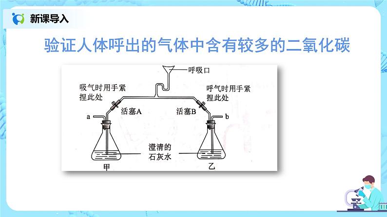 人教版（新课标）生物七下：3.2《发生在肺内的气体交换》（第二课时）（课件+教案+练习）06