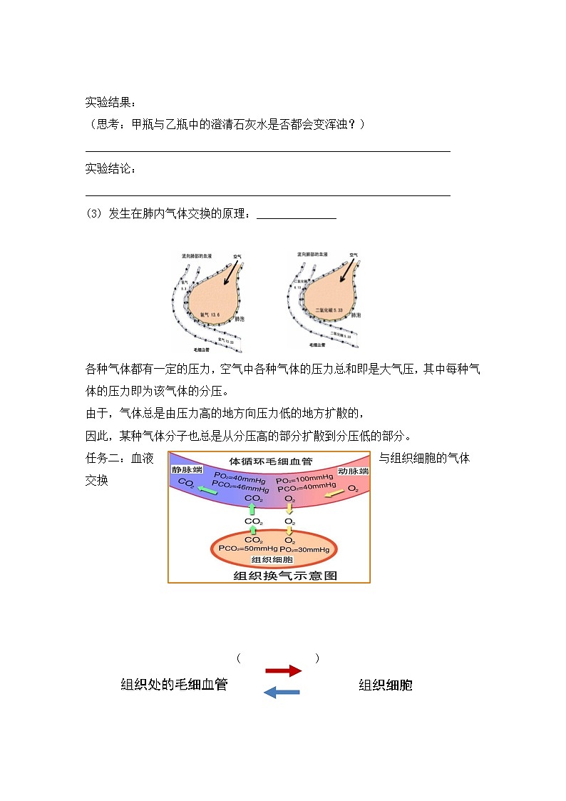 人教版（新课标）生物七下：3.2《发生在肺内的气体交换》（第二课时）（课件+教案+练习）02