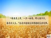 人教版生物七年级上册  第二章 第一节 第1课时 种子萌发的环境条件【课件】