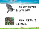 人教版生物七年级上册  第二章 第一节 第2课时 生物因素对生物的影响 生物对环境的适应和影响【课件】