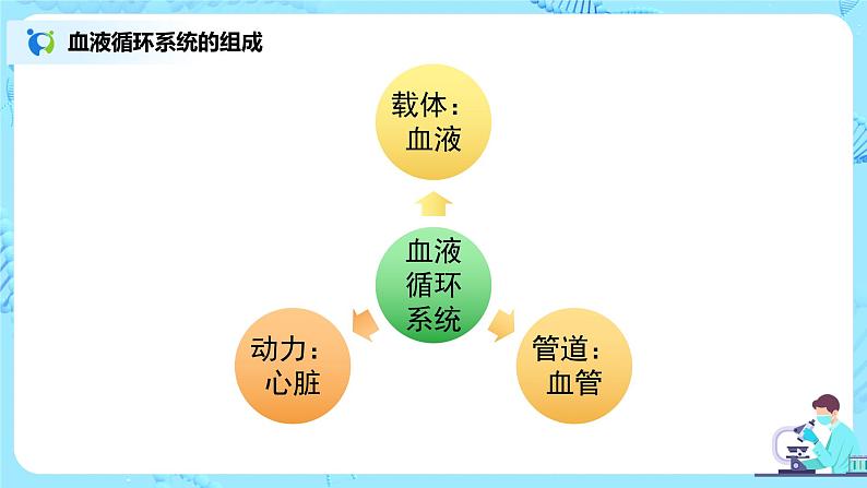 人教版（新课标）生物七下：4.4《输血与血型》（课件+教案+练习）03