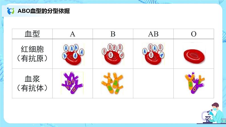 人教版（新课标）生物七下：4.4《输血与血型》（课件+教案+练习）07