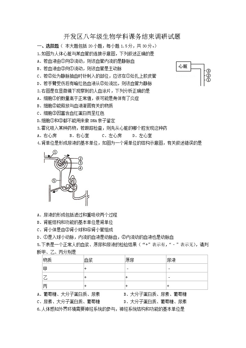 2021-2022学年学期江苏省如皋市八年级新课程结束考试生物试题（word版 含答案）第1页