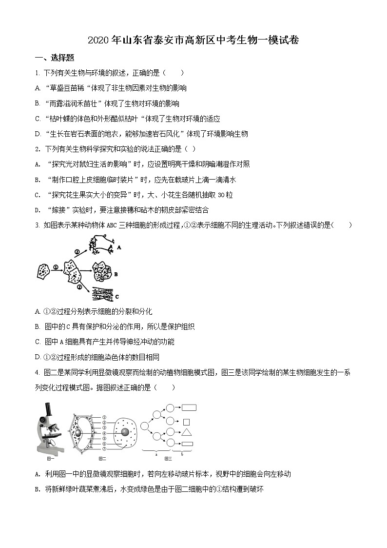 精品解析：2020年山东省泰安市高新区九年级中考一模生物试题（解析版+原卷版）01