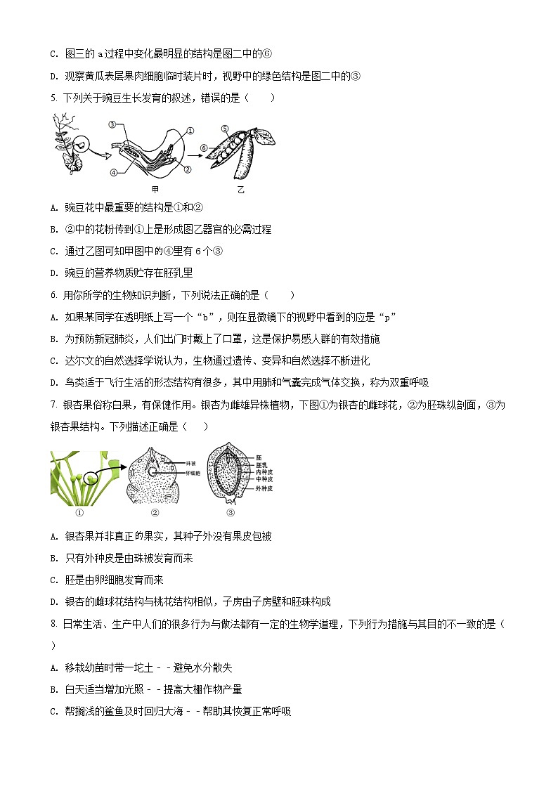 精品解析：2020年山东省泰安市高新区九年级中考一模生物试题（解析版+原卷版）02
