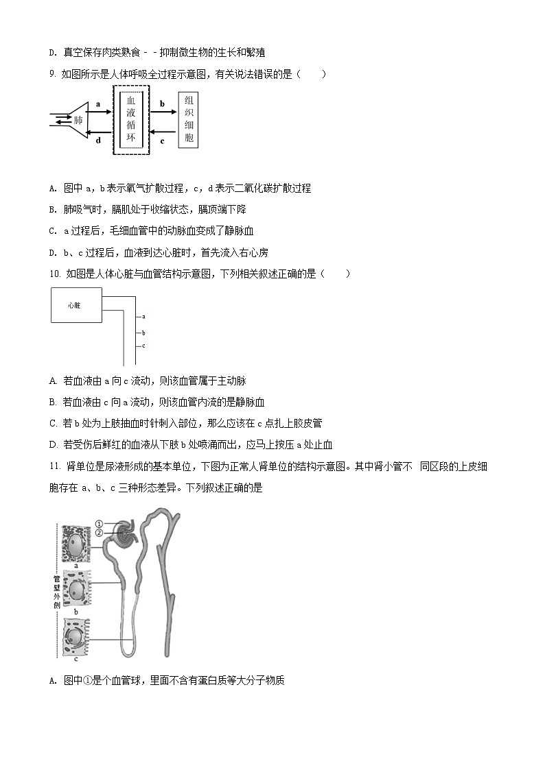 精品解析：2020年山东省泰安市高新区九年级中考一模生物试题（解析版+原卷版）03