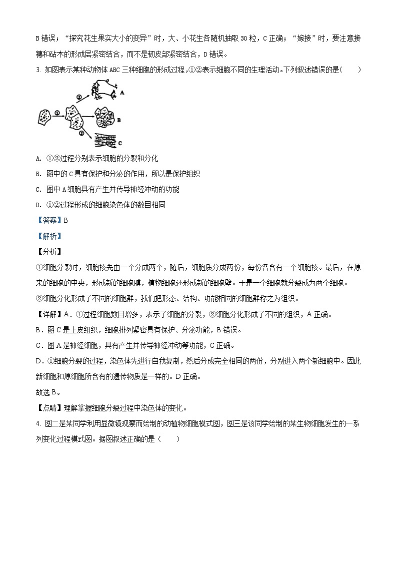 精品解析：2020年山东省泰安市高新区九年级中考一模生物试题（解析版+原卷版）02