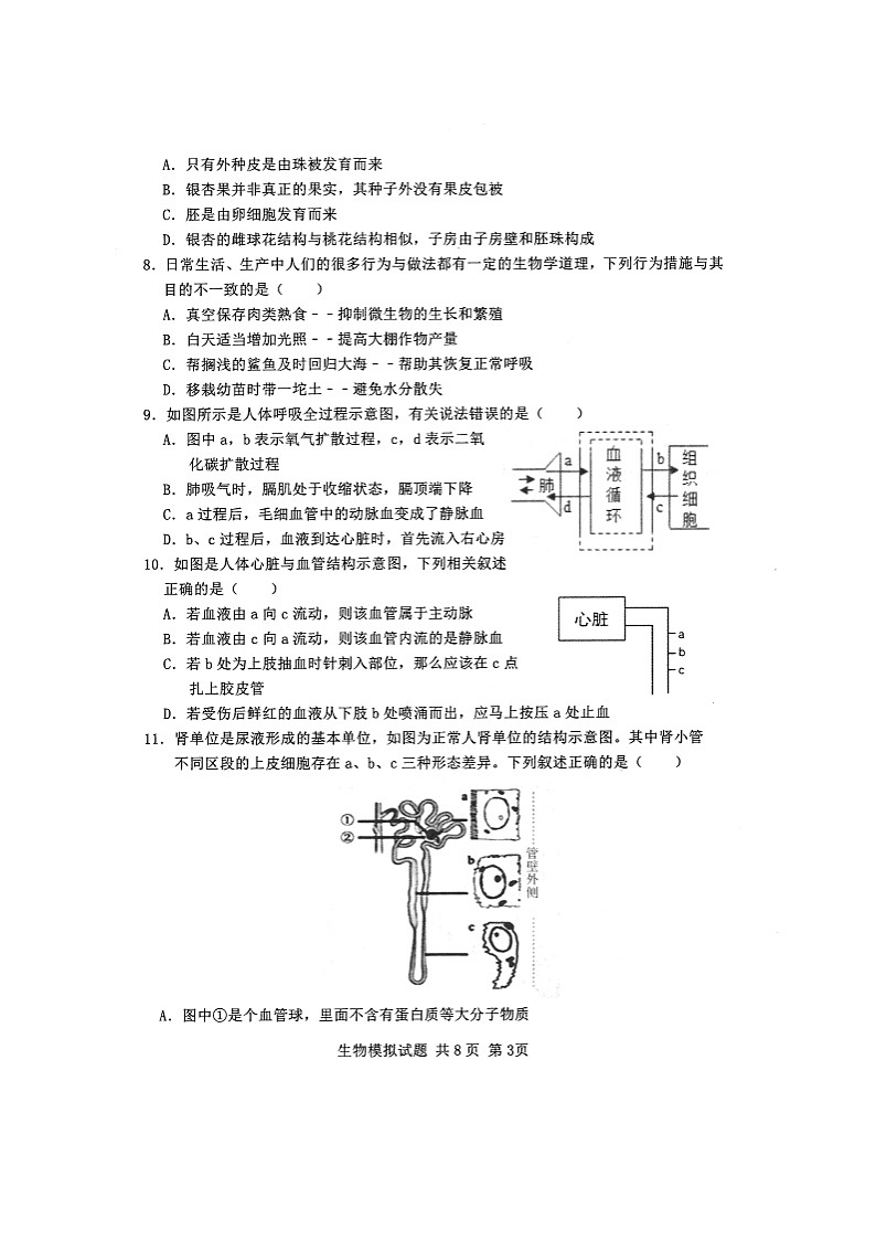 山东省泰安市泰山区2020届九年级中考一模生物试题及答案（扫描版）第3页