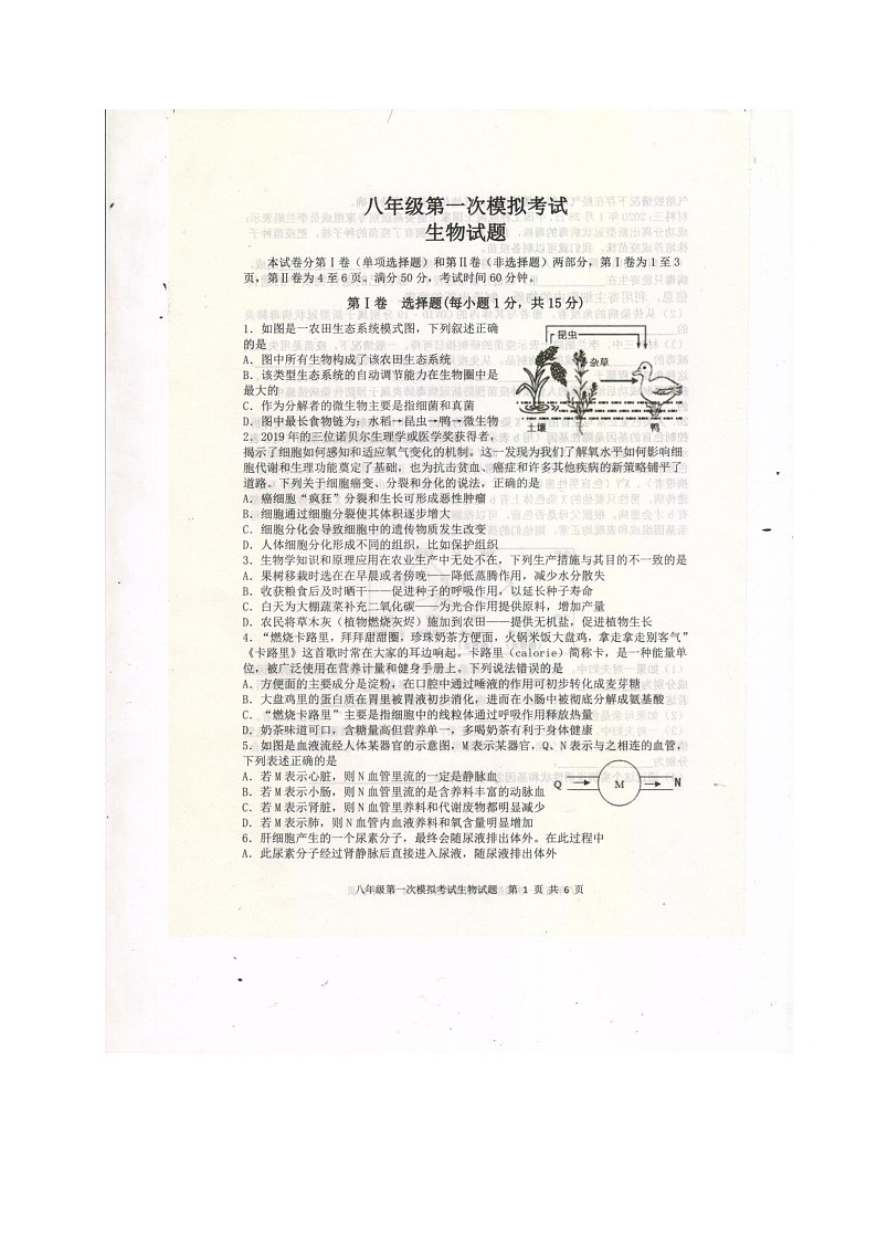 山东省泰安新泰市2019-2020年中考第一次模拟考试生物试题及答案（扫描版）第1页