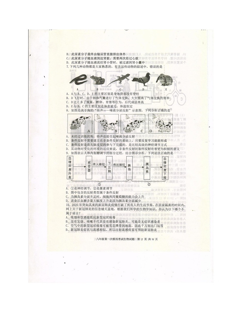 山东省泰安新泰市2019-2020年中考第一次模拟考试生物试题及答案（扫描版）第2页