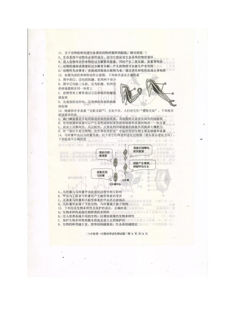 山东省泰安新泰市2019-2020年中考第一次模拟考试生物试题及答案（扫描版）第3页