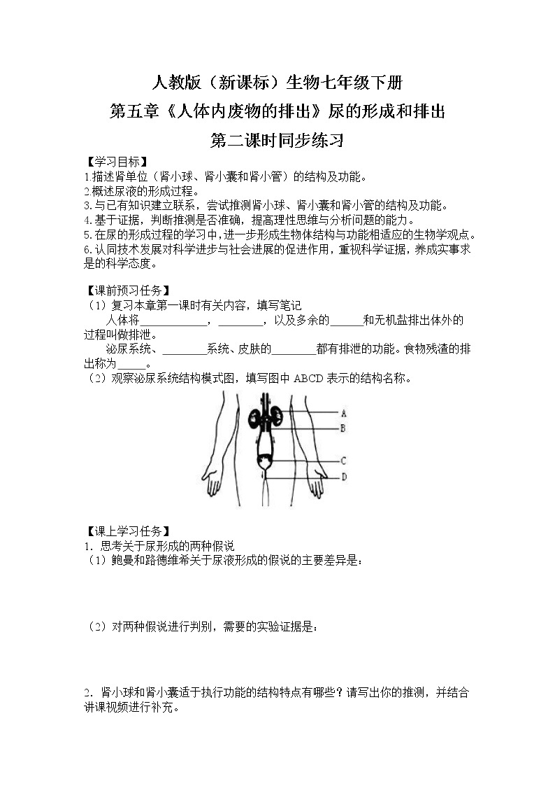 人教版（新课标）生物七下：第五章《人体内废物的排出》（第二课时）--尿的形成和排出（课件+教案+练习）01