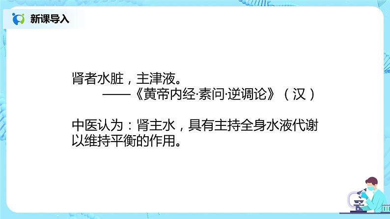 人教版（新课标）生物七下：第五章《人体内废物的排出》（第二课时）--尿的形成和排出（课件+教案+练习）05