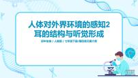 人教版 (新课标)七年级下册第一节 人体对外界环境的感知获奖ppt课件