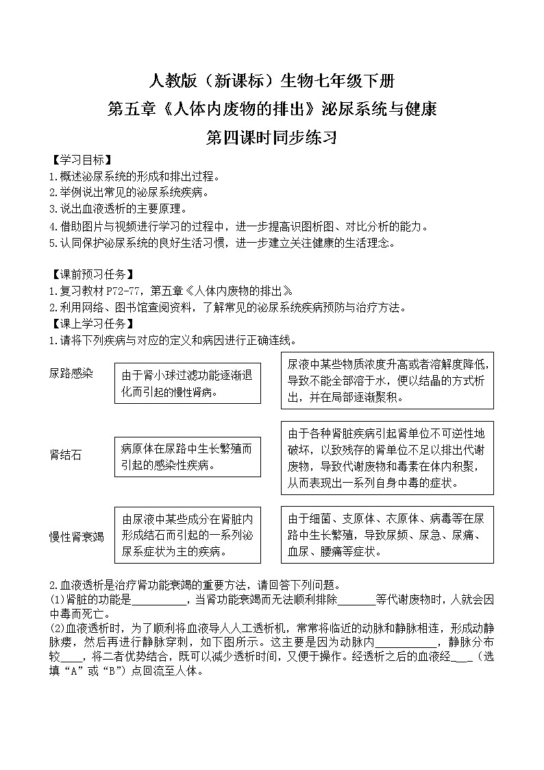 人教版（新课标）生物七下：第五章《人体内废物的排出》（第四课时）--泌尿系统与健康（课件+教案+练习）01