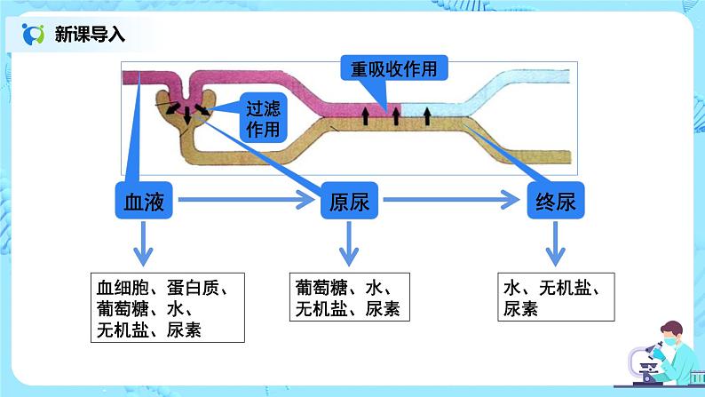 中学生物课件第2页