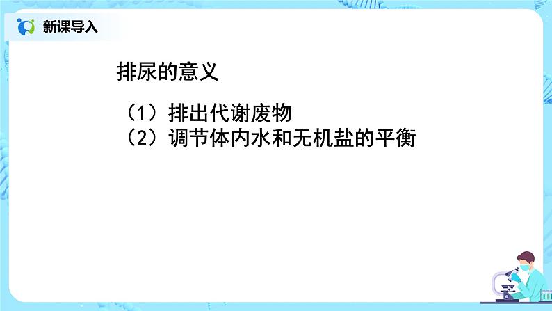 中学生物课件第5页